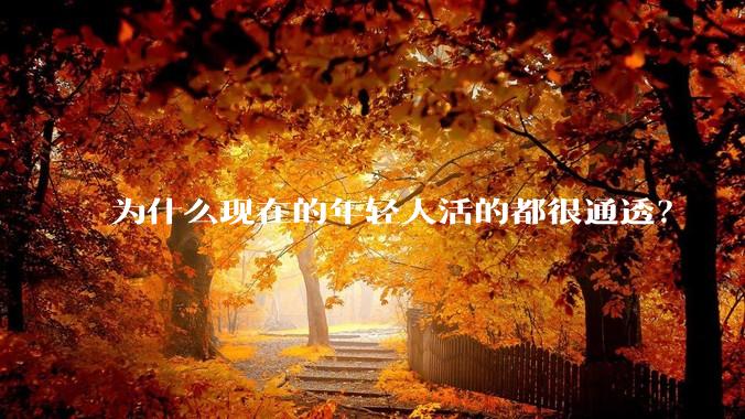 为什么现在的年轻人活的都很通透?