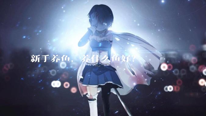 新手养鱼,养什么鱼好?
