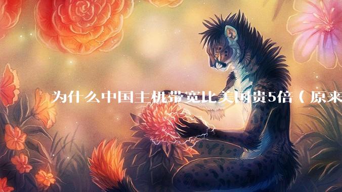 为什么中国主机带宽比美国贵5倍(原来错误的10000倍),比如阿里云?