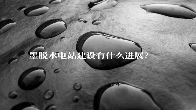 墨脱水电站建设有什么进展?