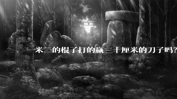一米二的棍子打的赢三十厘米的刀子吗?